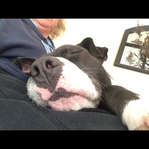 Meet your Posher, Karen